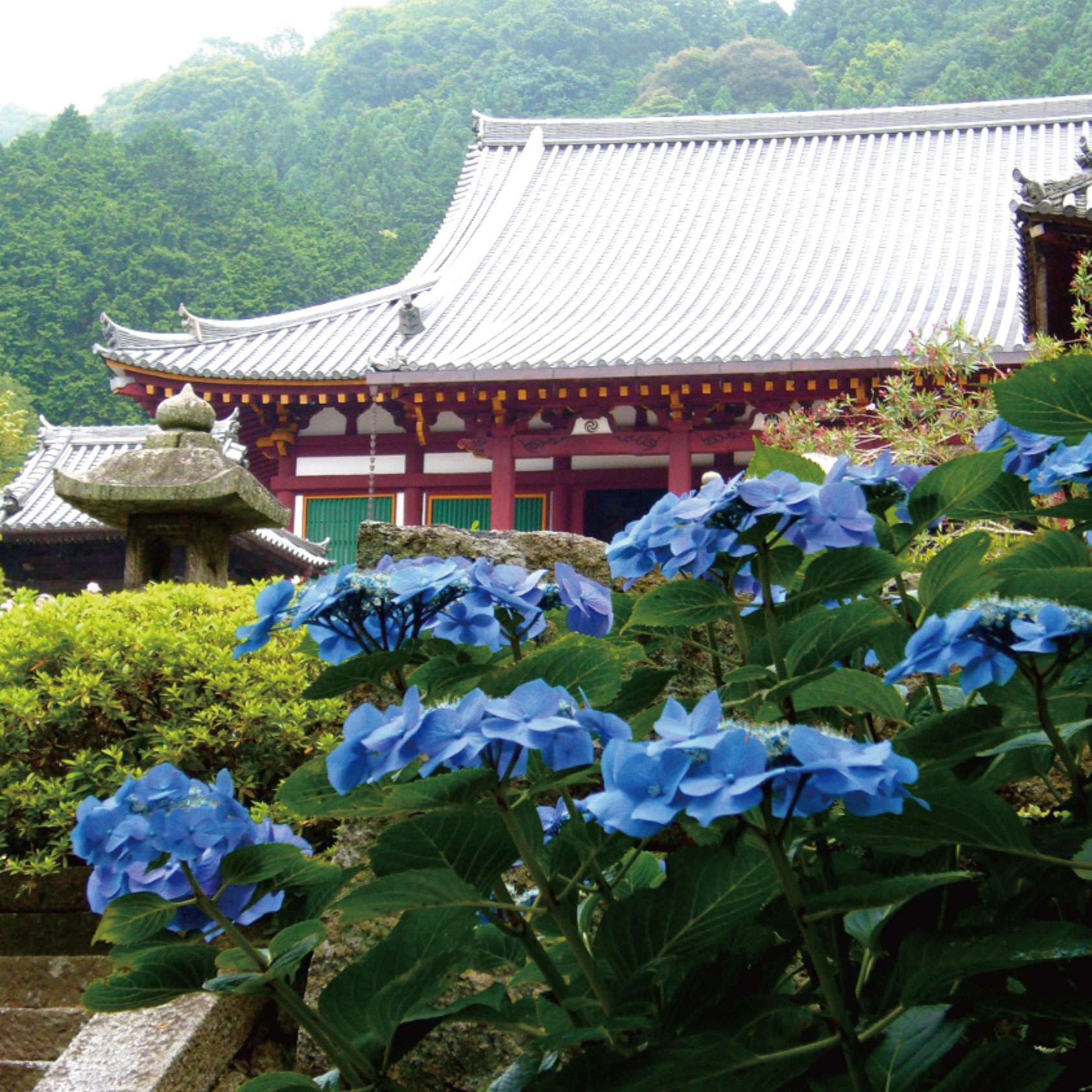 矢田寺