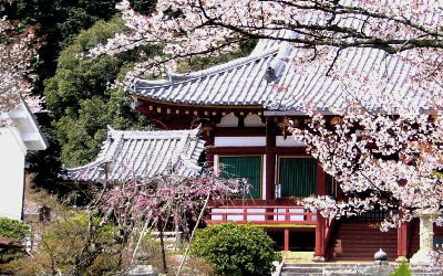 金剛山寺（矢田寺）